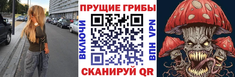 Галлюциногенные грибы Psilocybe  наркота  Колпашево 